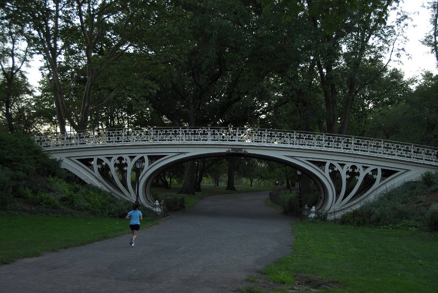 20100905   New York City   283